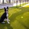 a dog standing in the pet area with lush turf