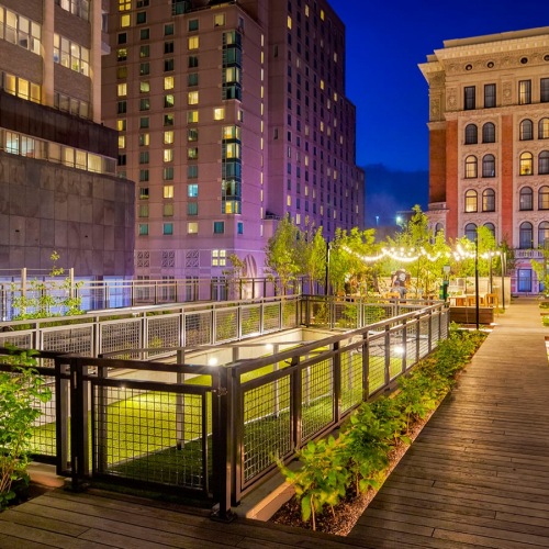 dog spa and landscaping in a open, outdoor courtyard area